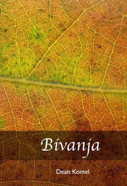 Bivanja