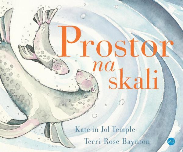 Prostor na skali